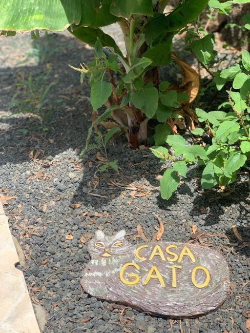 Casa Gato Appartement Corralejo Buitenkant foto